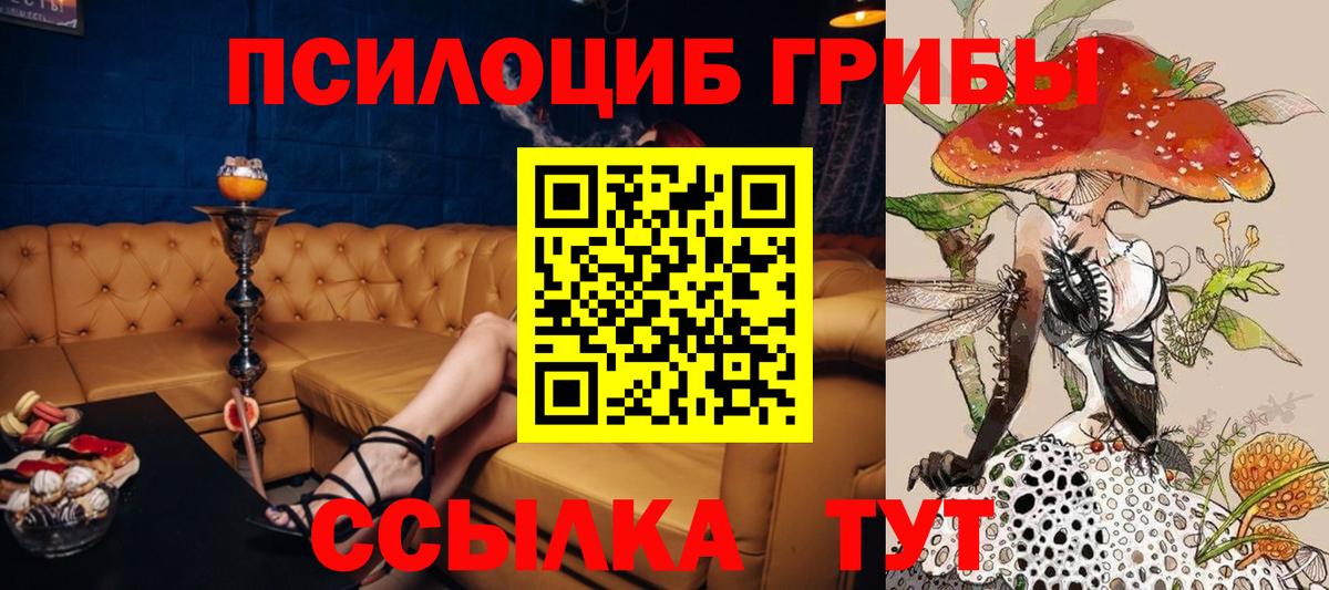 Псилоцибиновые грибы Cubensis  Псилоцибиновые грибы мицелий  Богородицк  Вход с VPN 